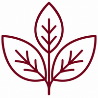 Authentische Produkte